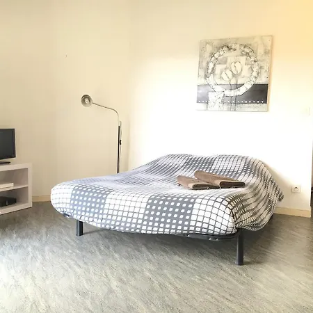 Apartment Coquet Studio Fonctionnel Toulouse